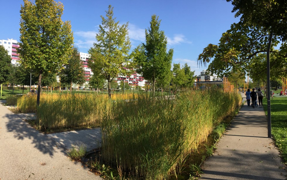 IMG_BednarPark_2017_DRLIK